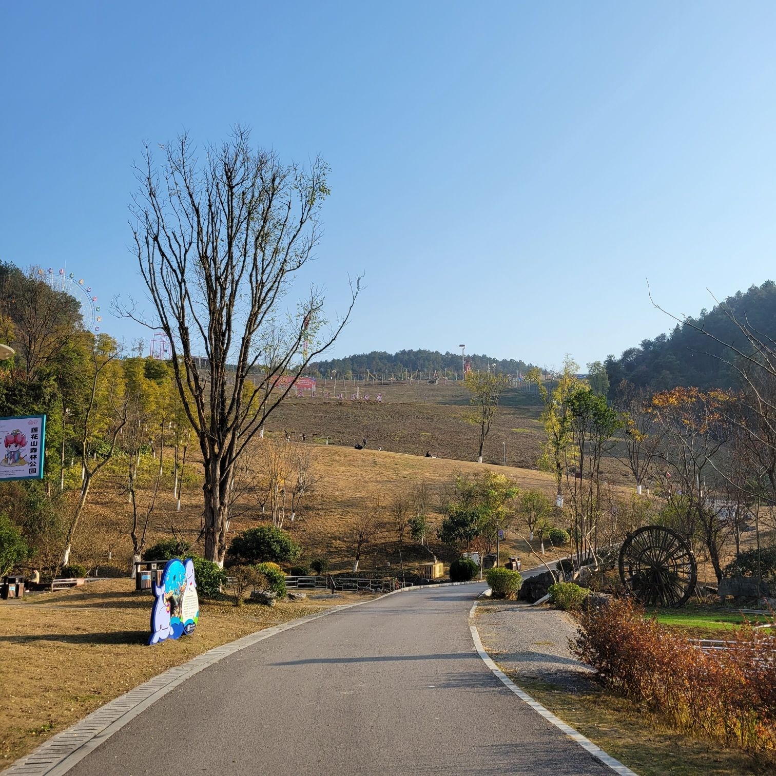 莲花山公园