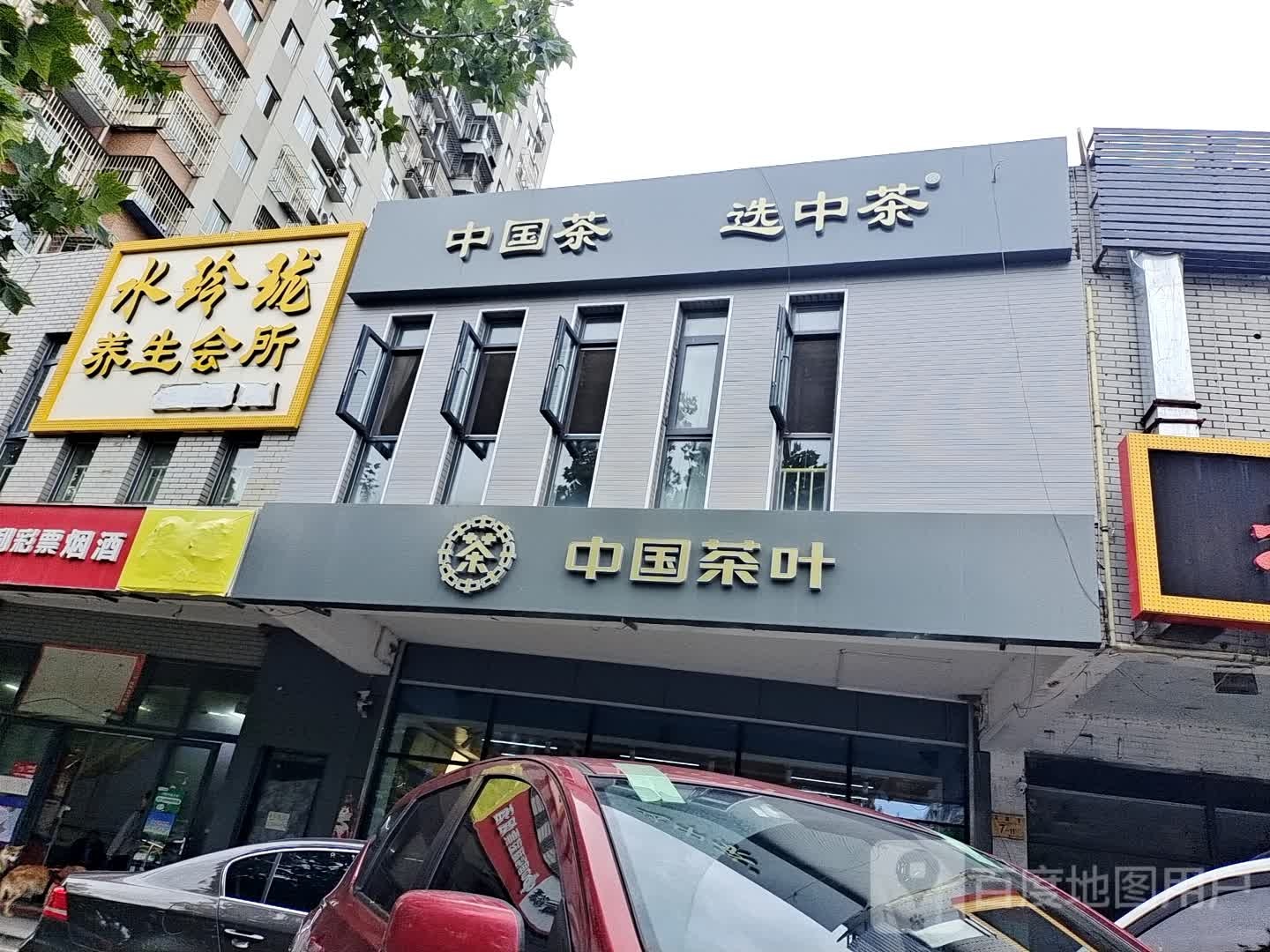 中国茶叶