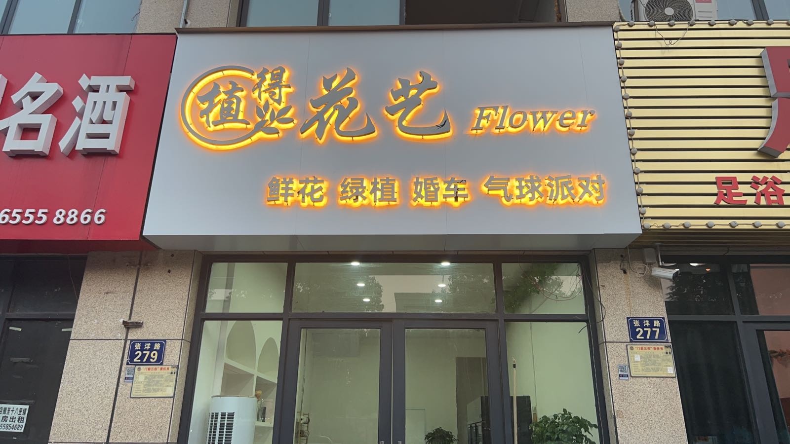 植得鲜花花一