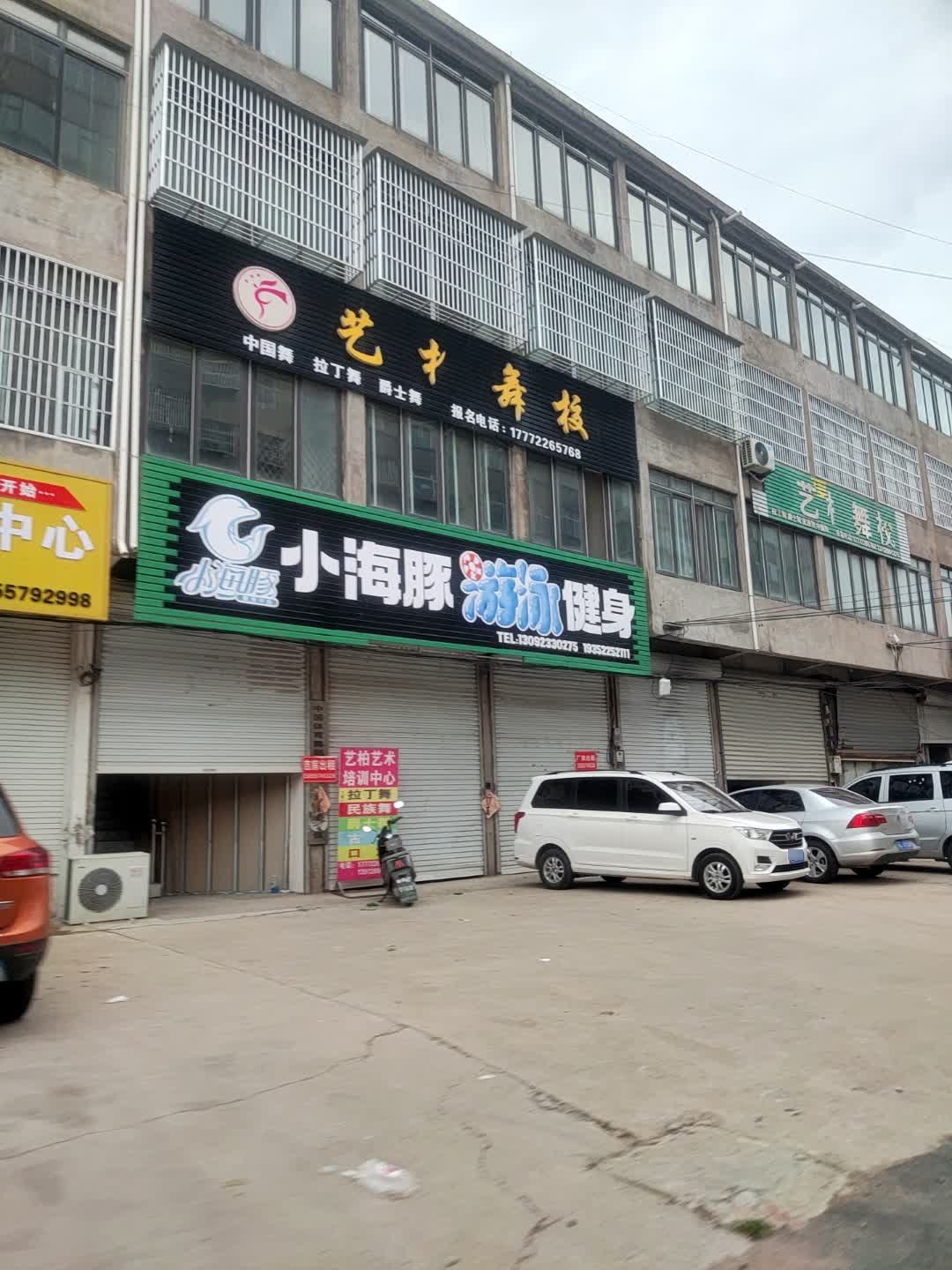 小海豚游泳健身