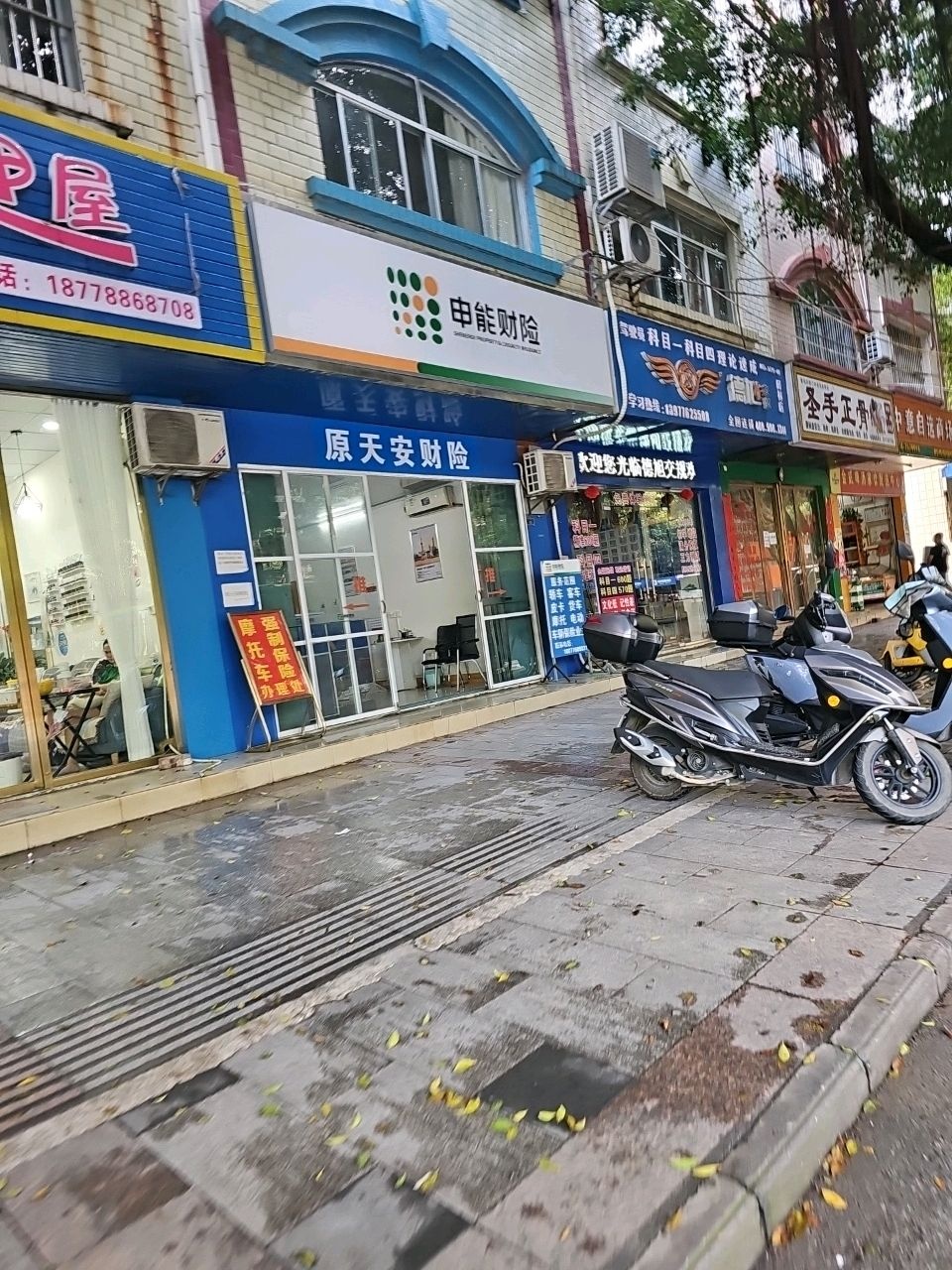 圣手正骨