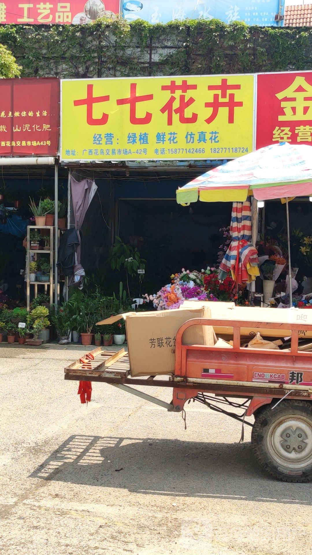七七花卉