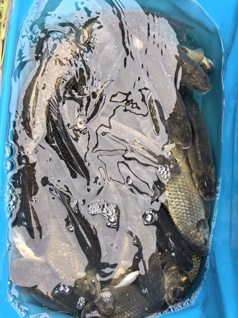 渔乐江湖钓场
