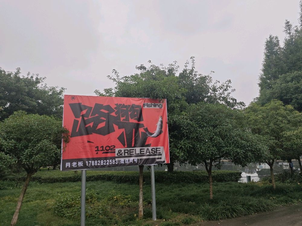 狗狗路亚基地