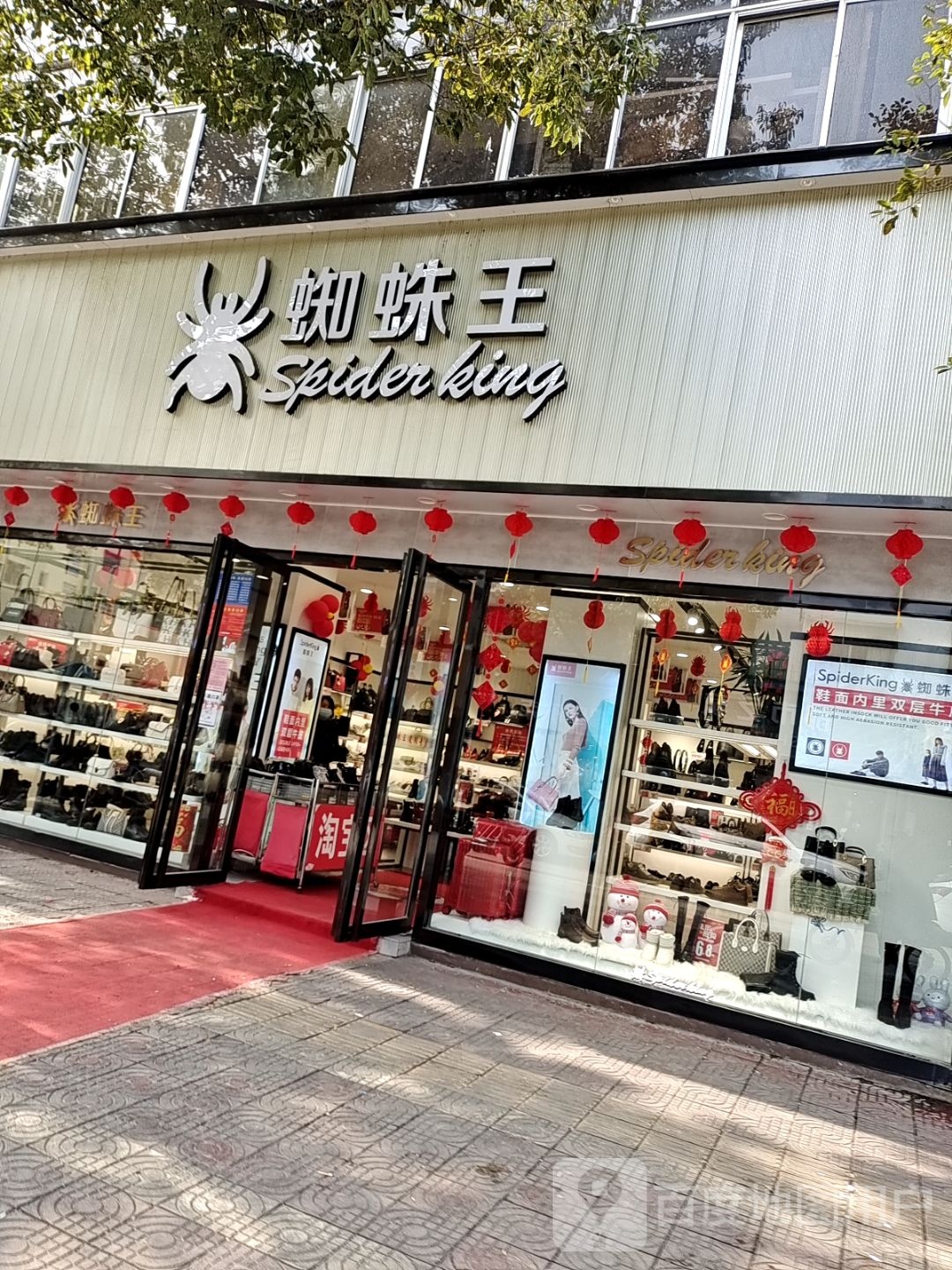 镇平县蜘蛛王(校场路店)