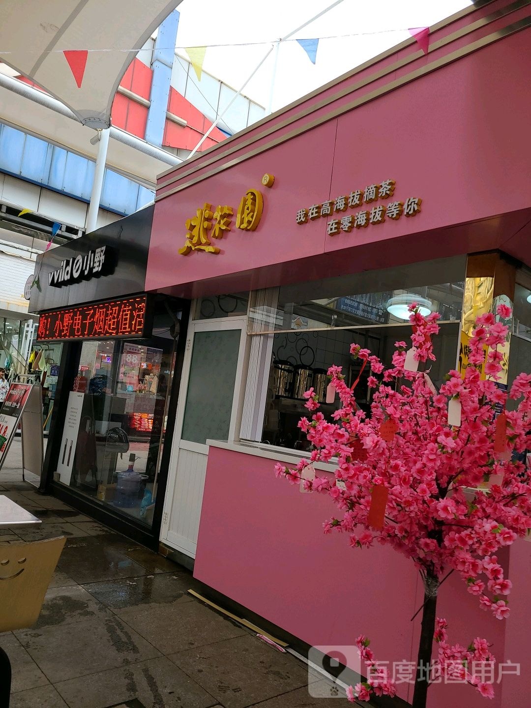 vvild小野电子烟(新街店)