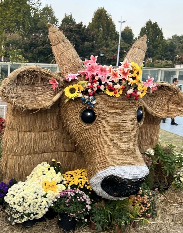 小榄水道碧道小榄镇1号段