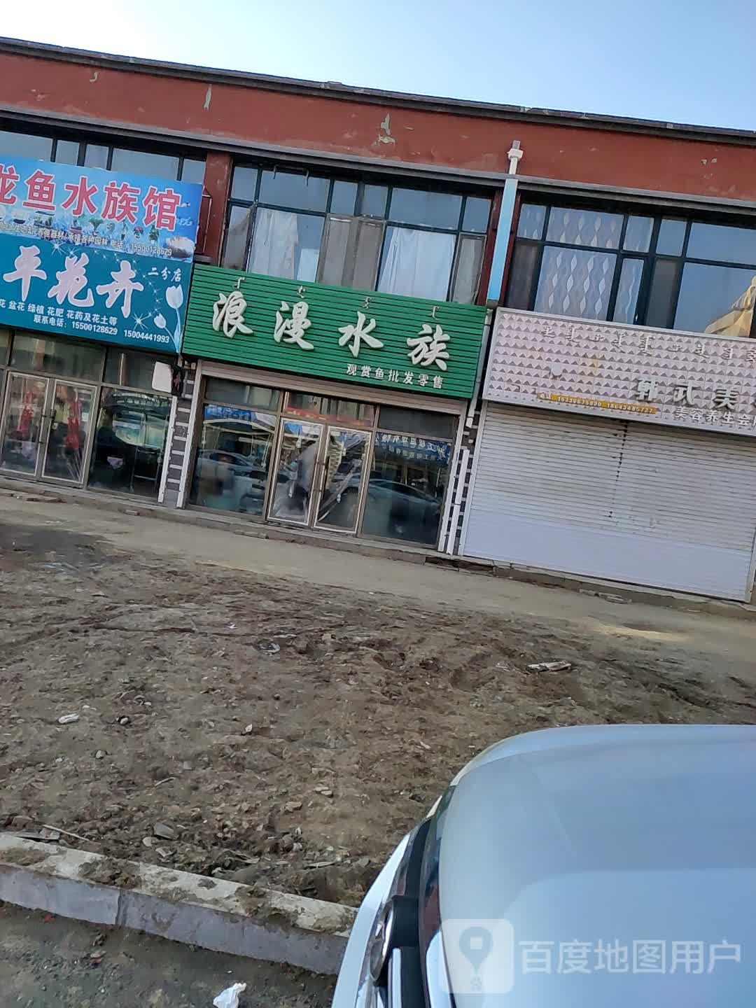 浪漫水族