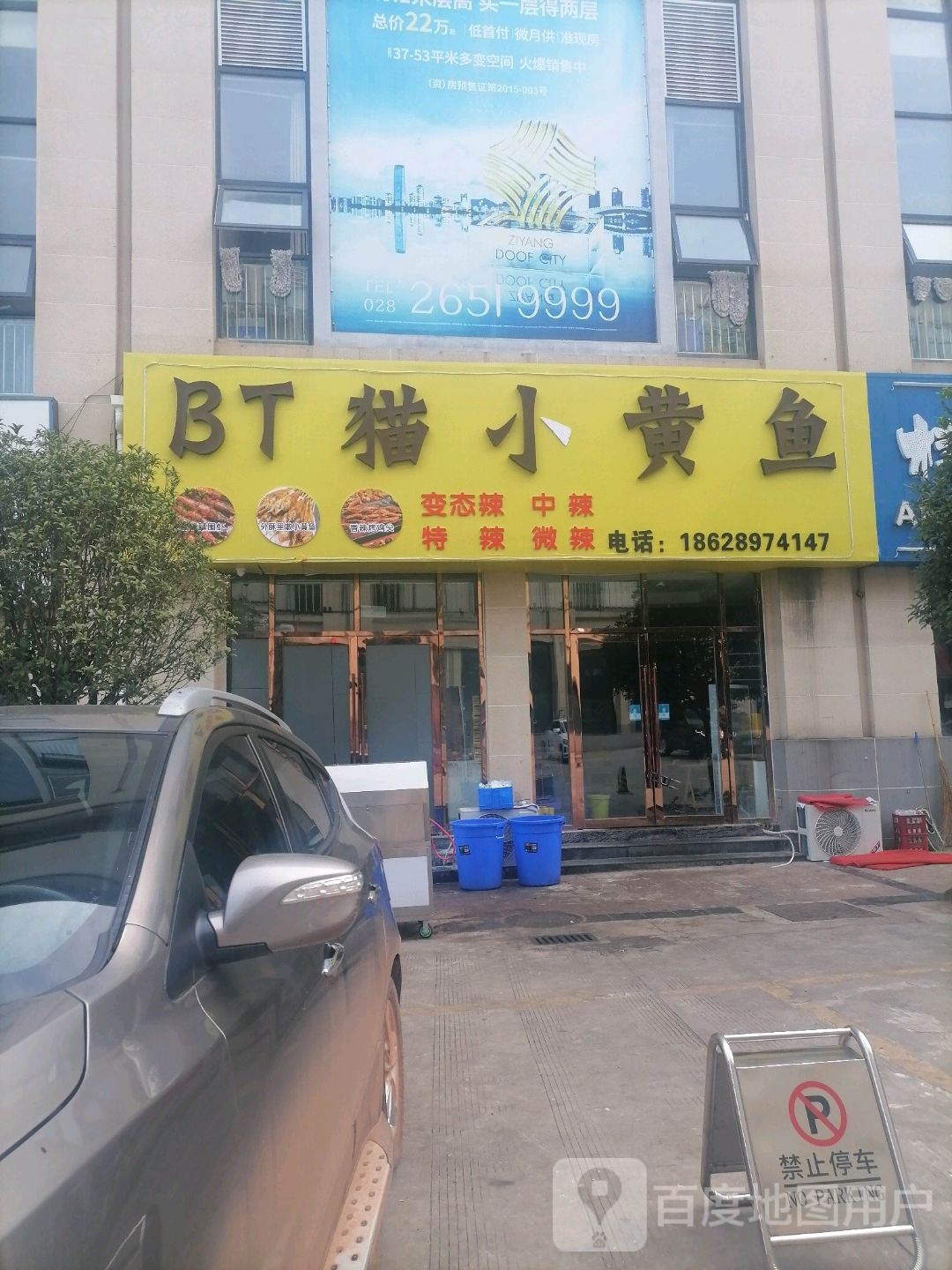 BT猫小黄鱼