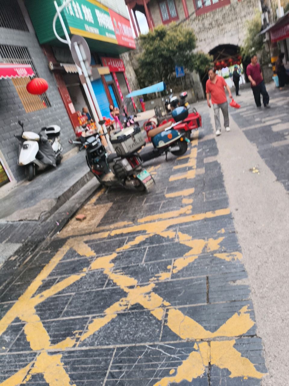 干货金鱼宠物店