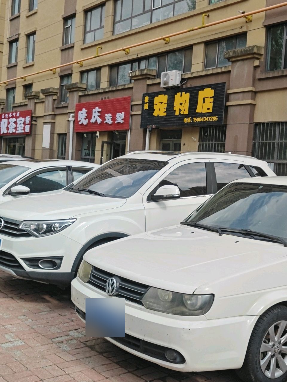 老财宠物店