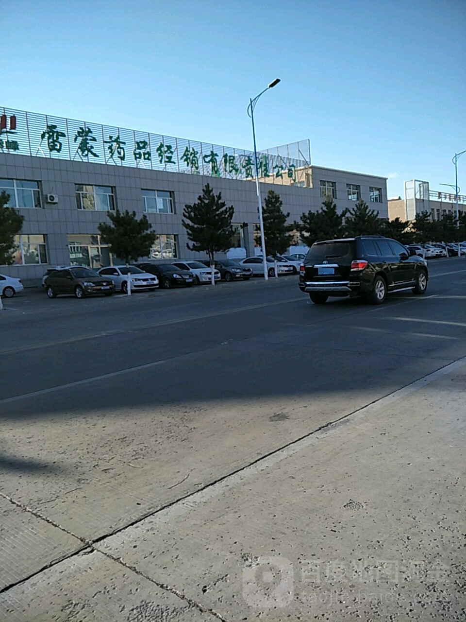 雷蒙药品经销商有限责任公司
