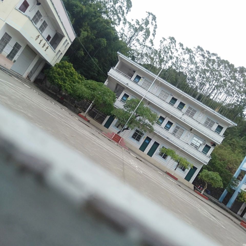 防城区江山镇两头龙小学