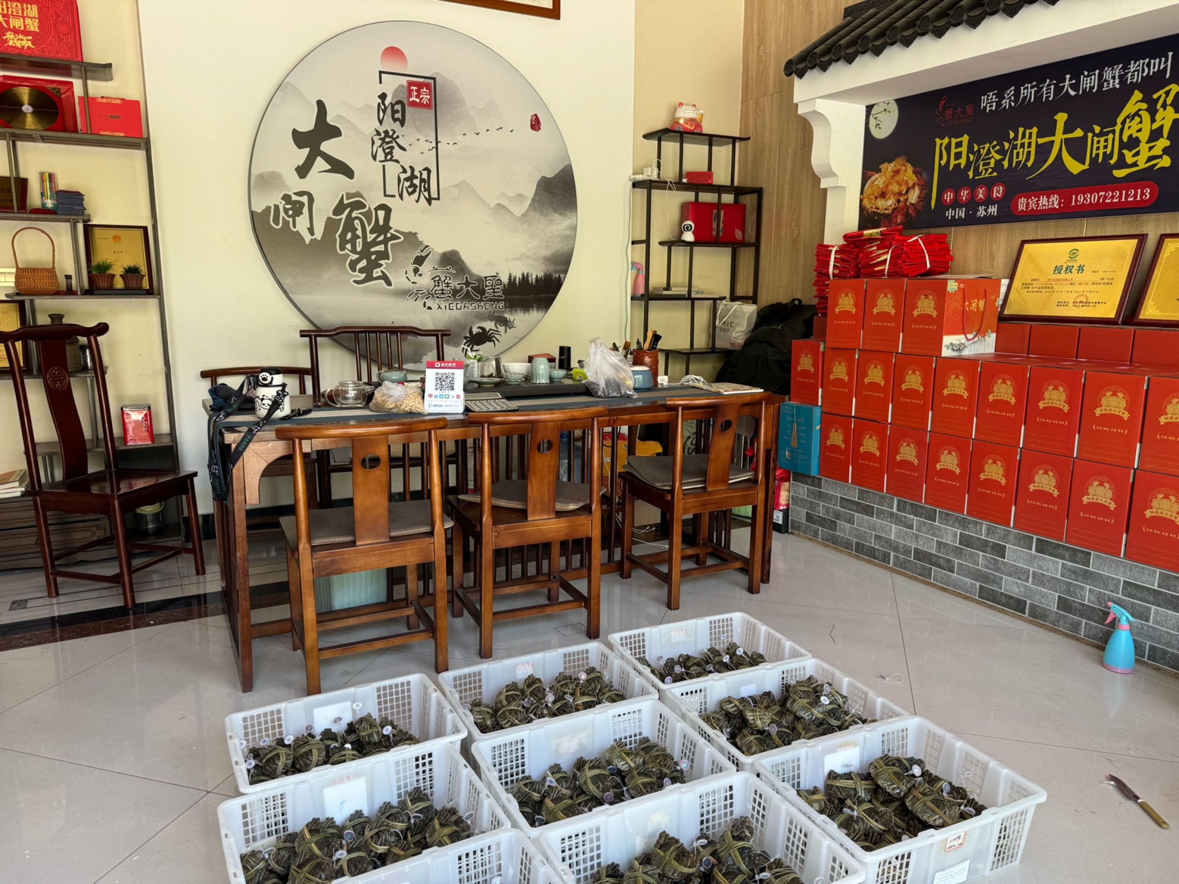 蟹皇尚阳澄湖大闸蟹