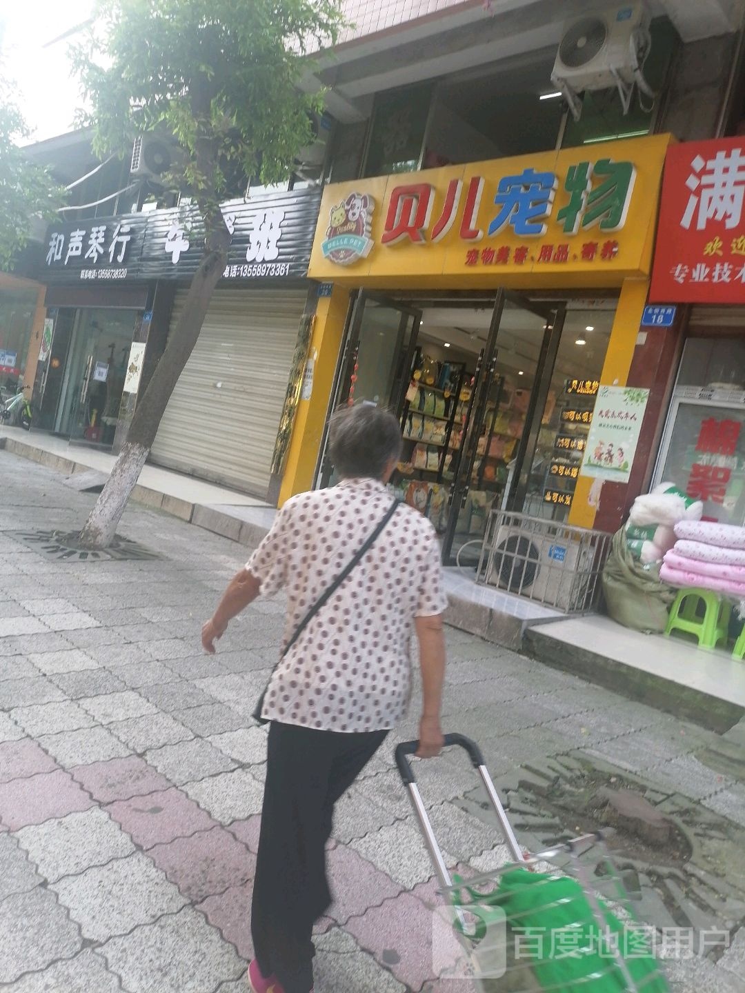 各省琴行(北固西街店)