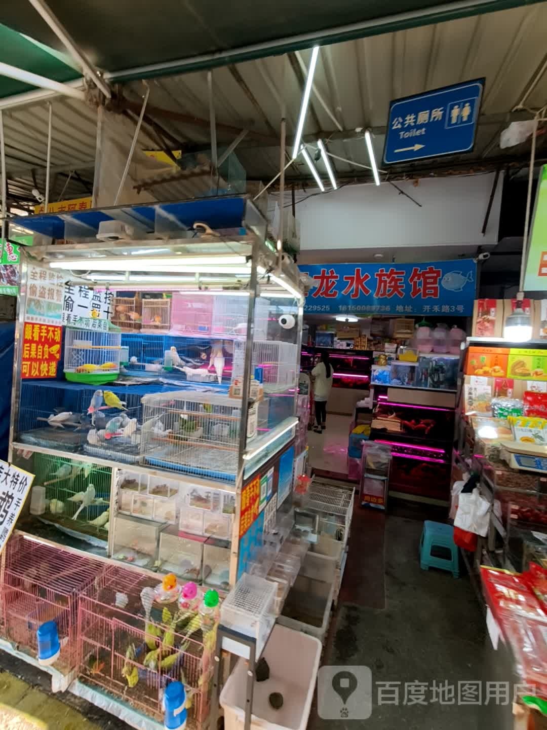红龙水族馆(开禾路店)