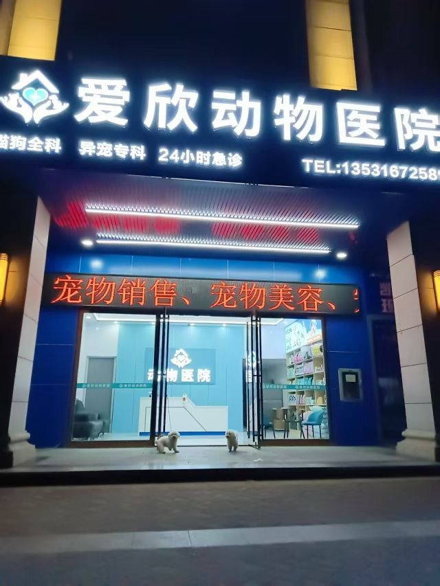 爱欣动物医院