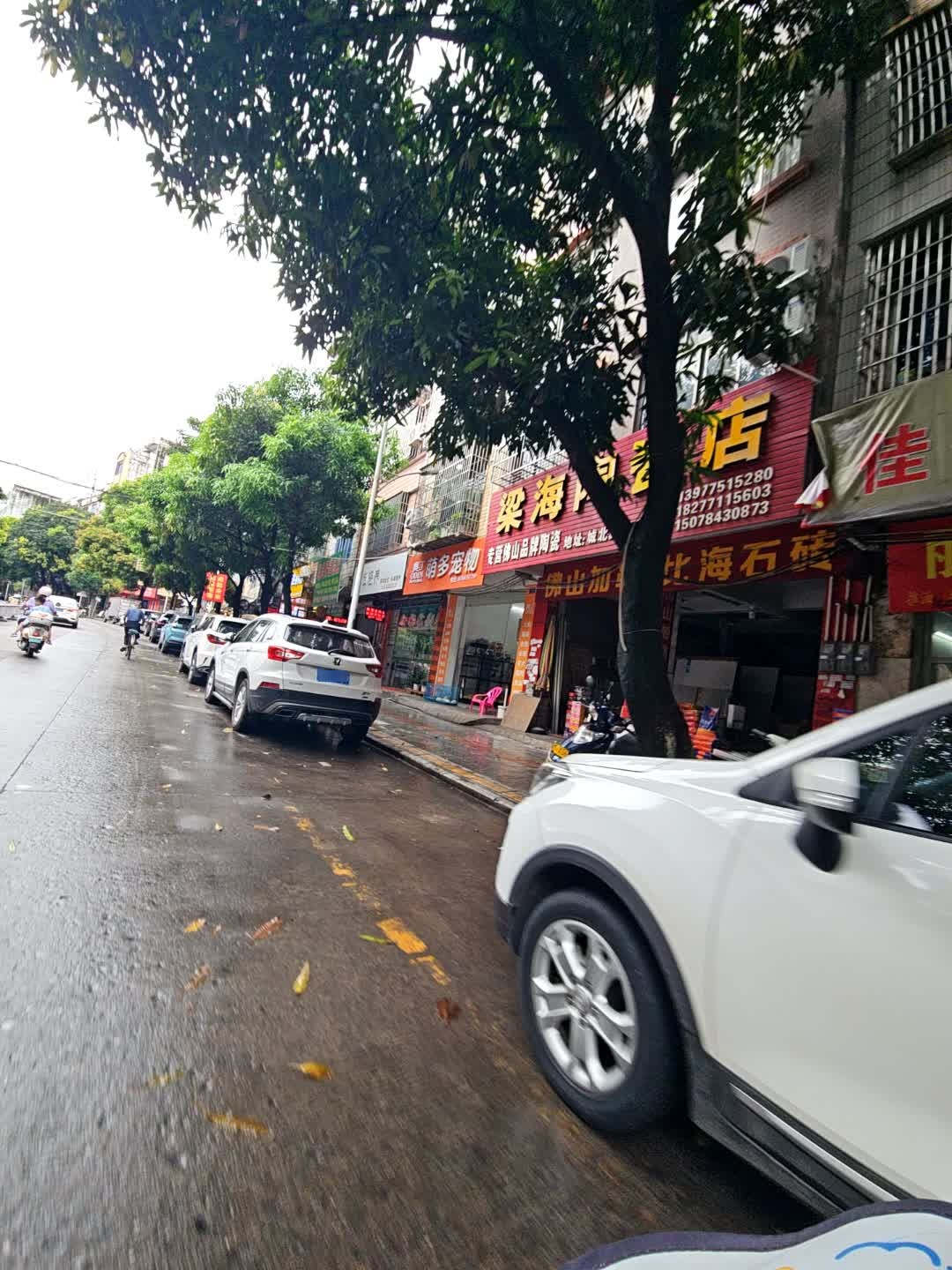 萌多宠物(城北路店)