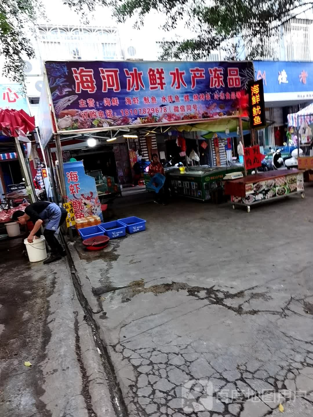 海河冰鲜水产众冻品批发