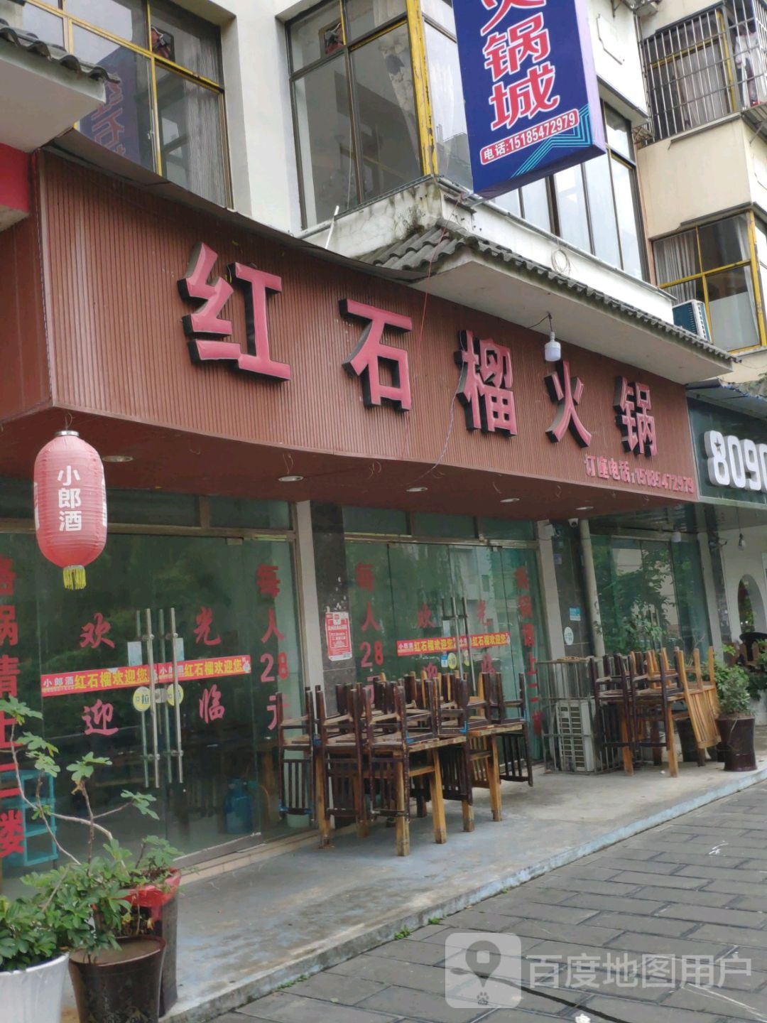 红石榴活过