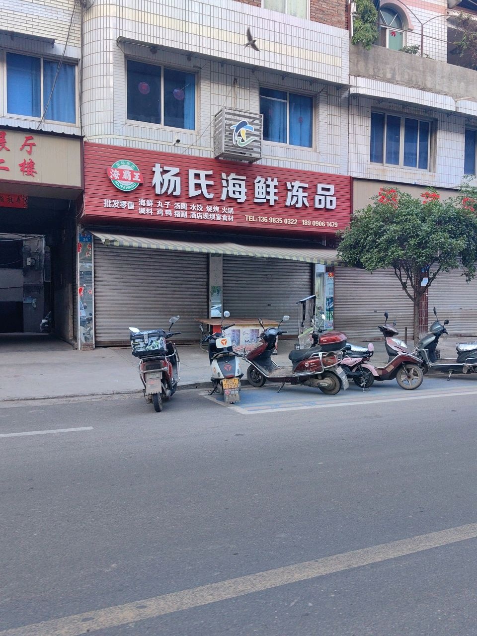 杨氏海鲜冻品