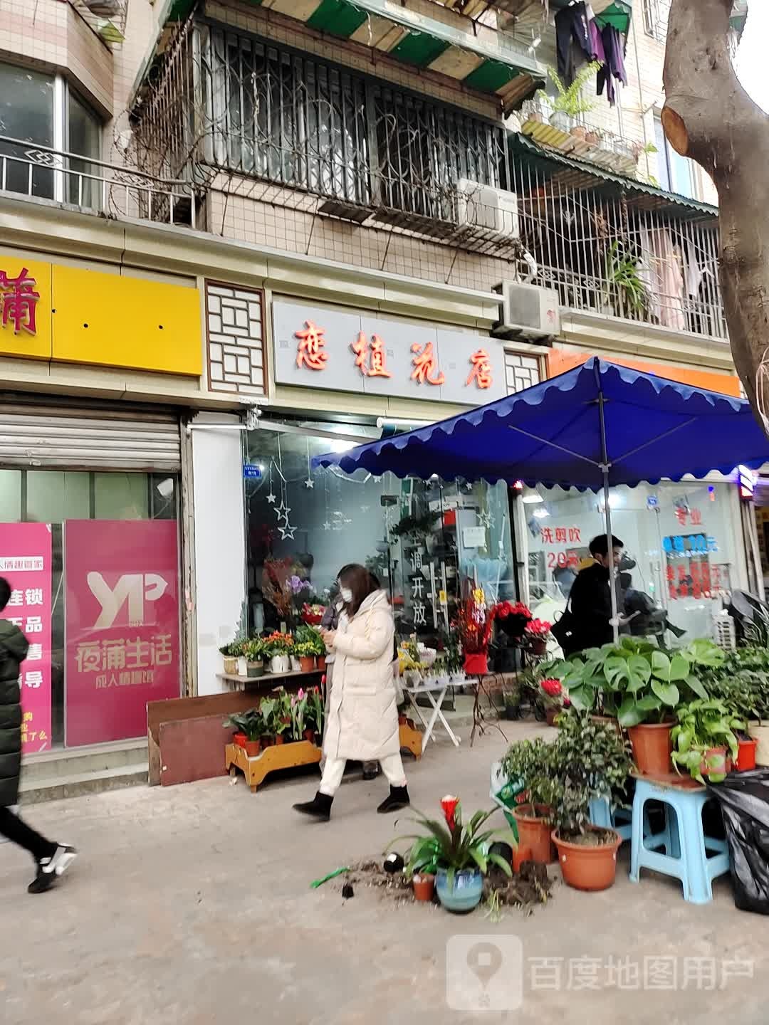 恋植花店(光荣北路89号院店)
