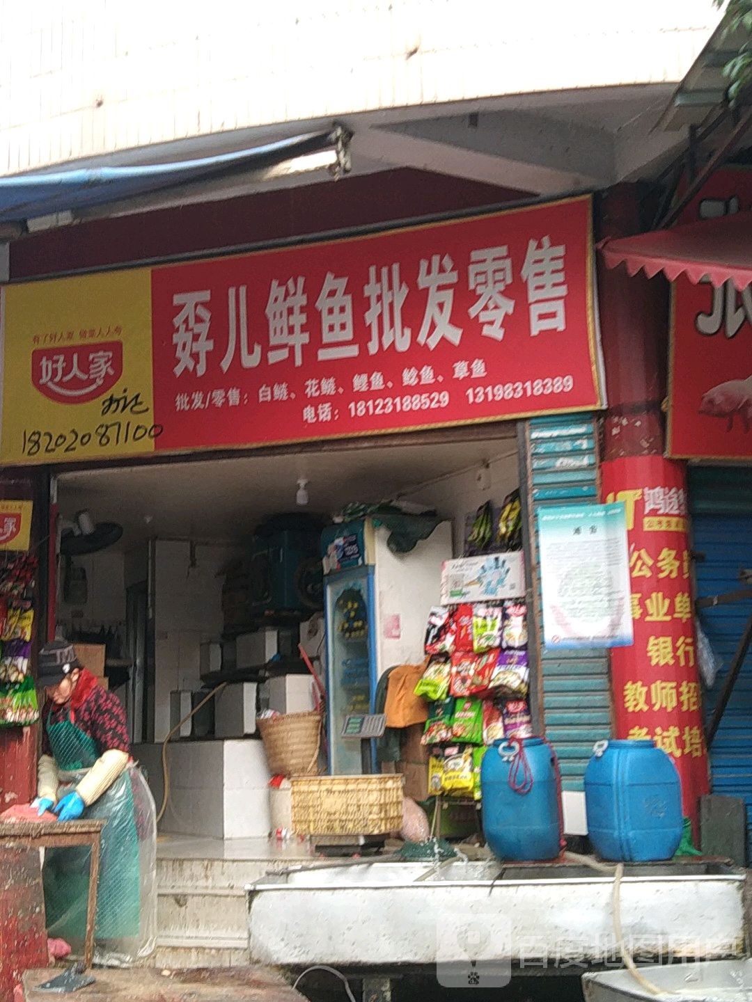 孬儿鲜鱼批发零售