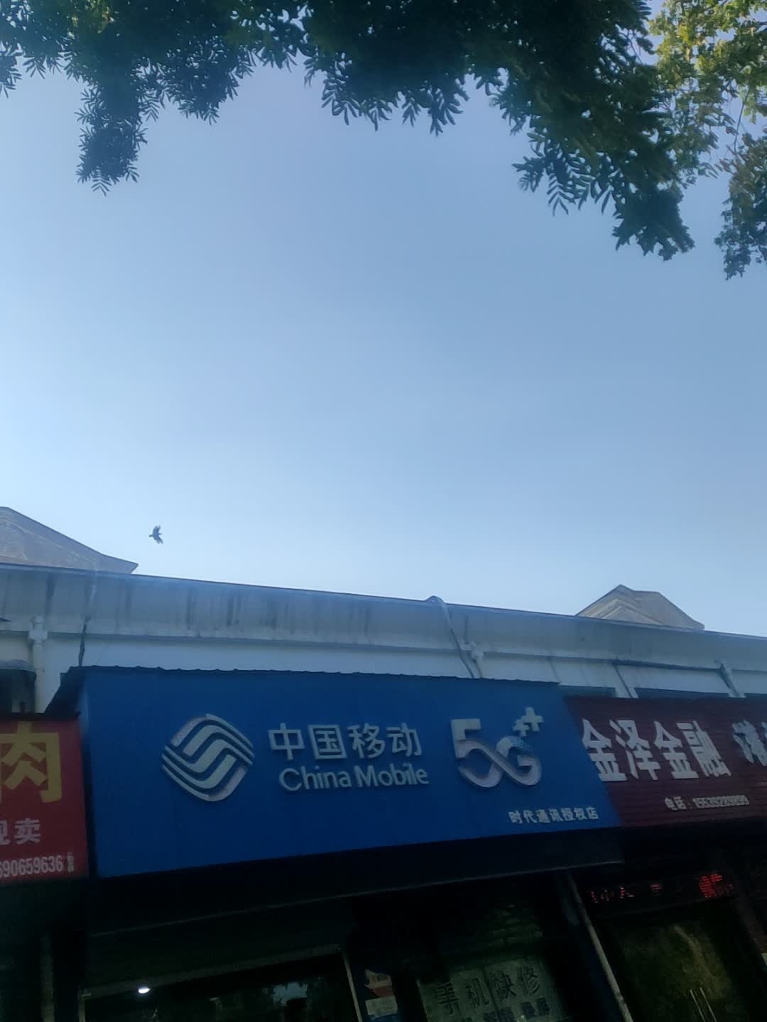 中国移动(华山路店)