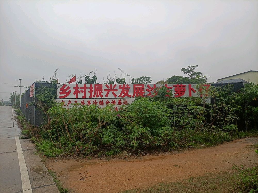 广东省湛江市紫黑红灵芝研发基地