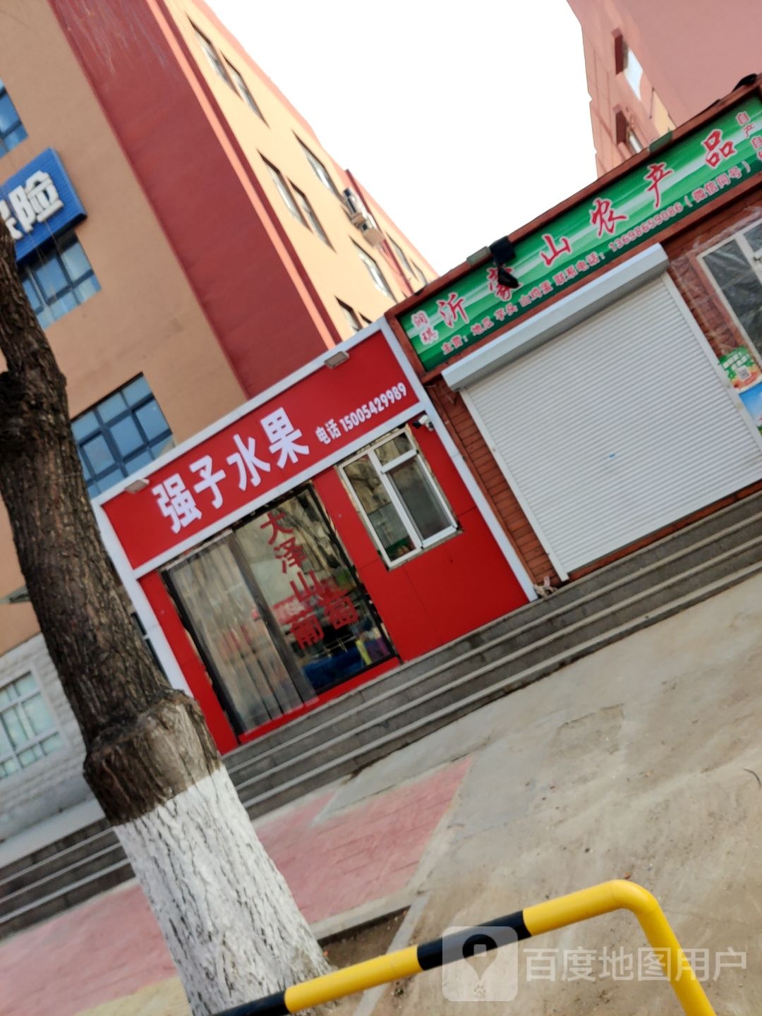 强子水果
