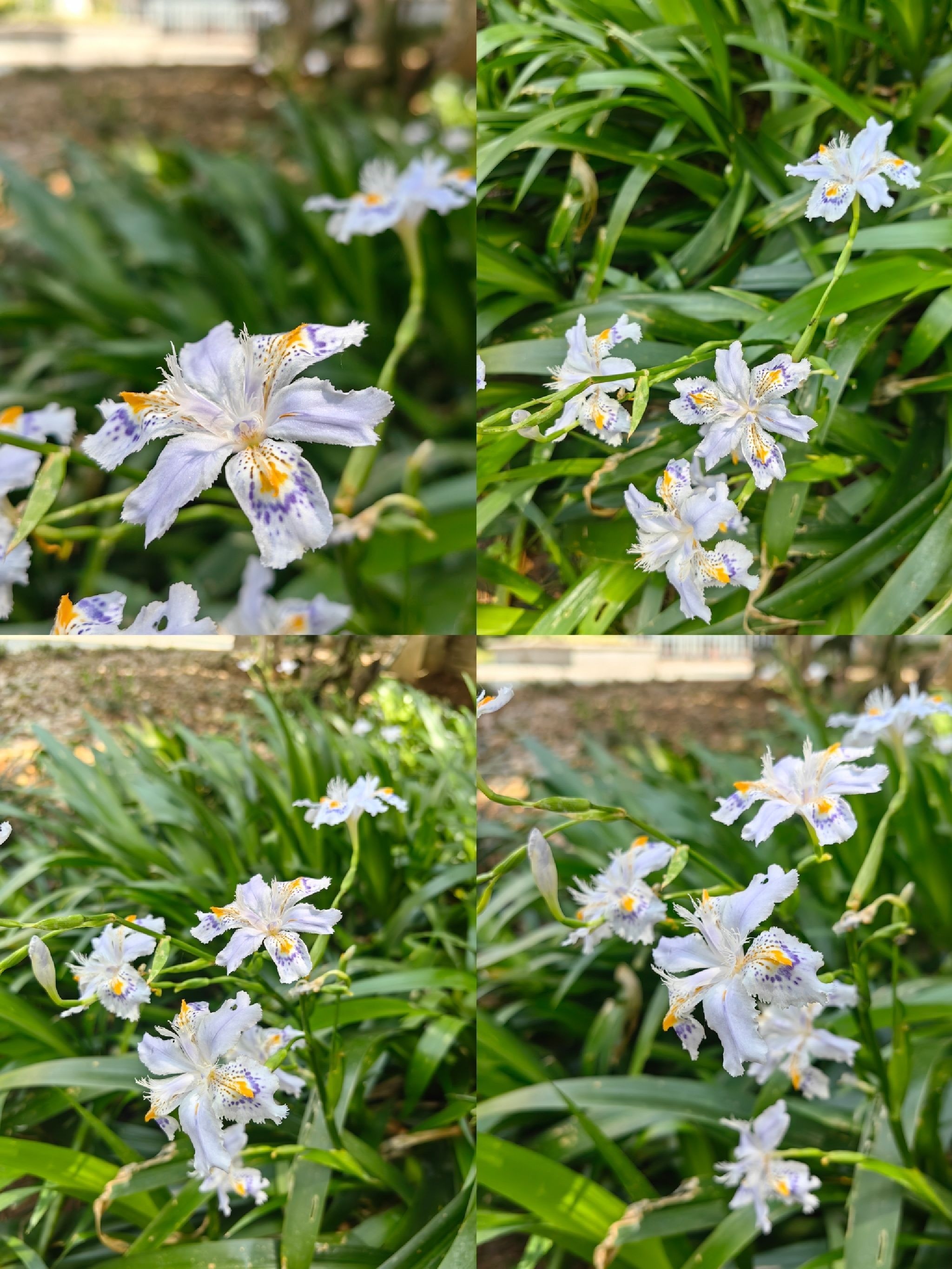 东水关遗址公园