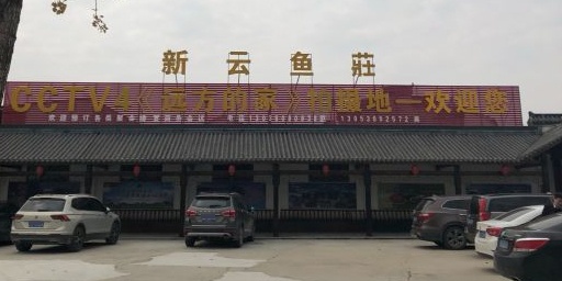 新云鱼莊