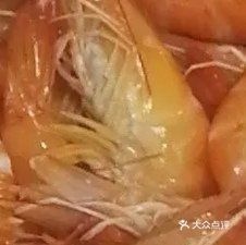 全哥海鲜来料加工随意小炒