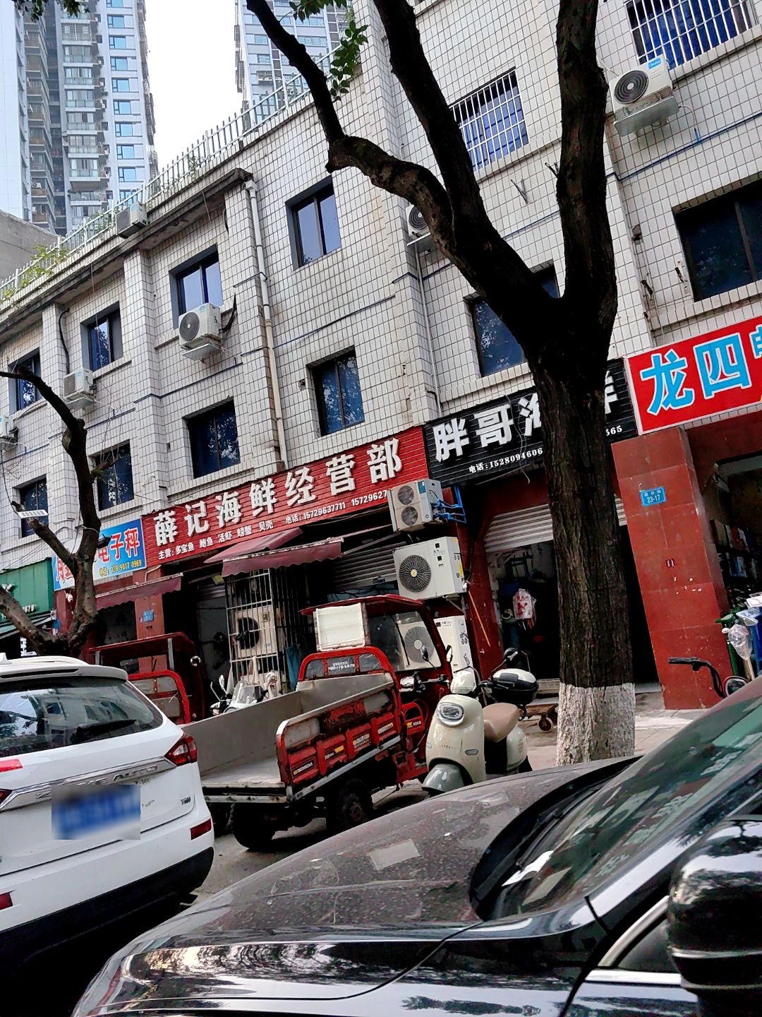 薛记海鲜经营部(迎宾路23号院店)