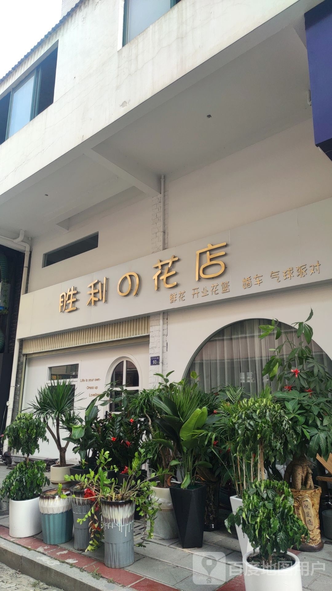 胜利区的花店