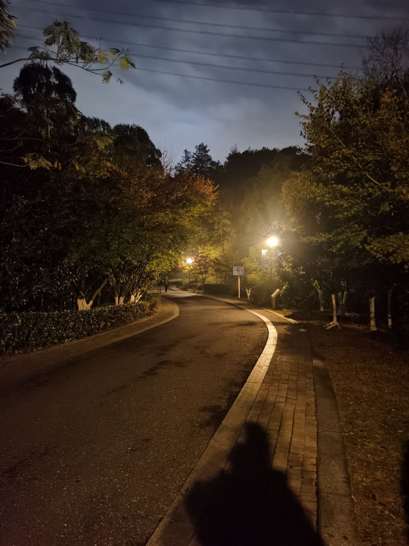 塔山森林公园