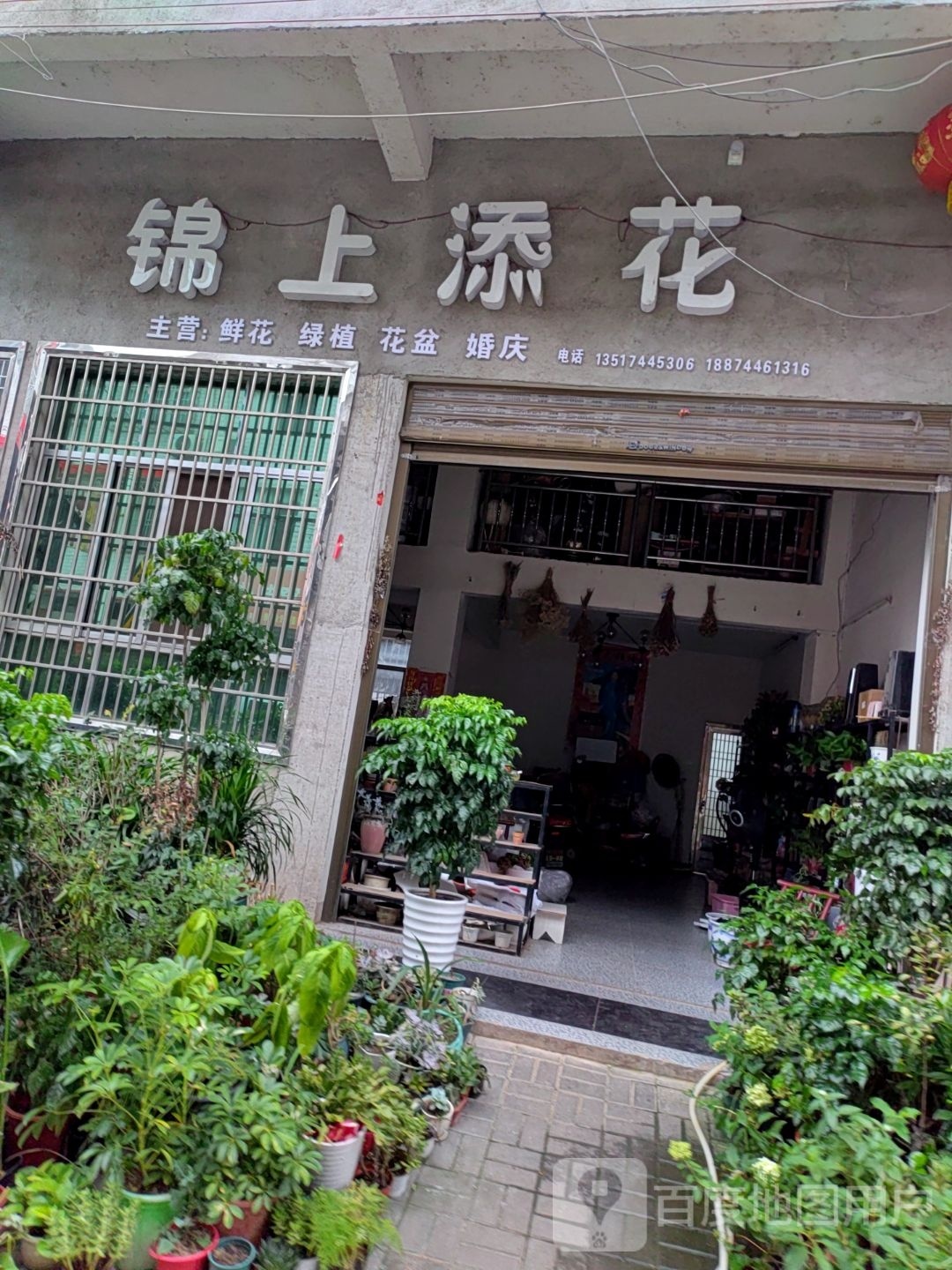 锦上添花