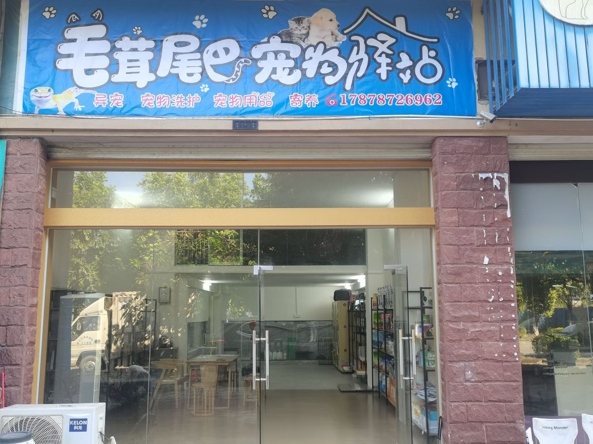 毛茸尾巴宠物驿站(望阳·上东区店)