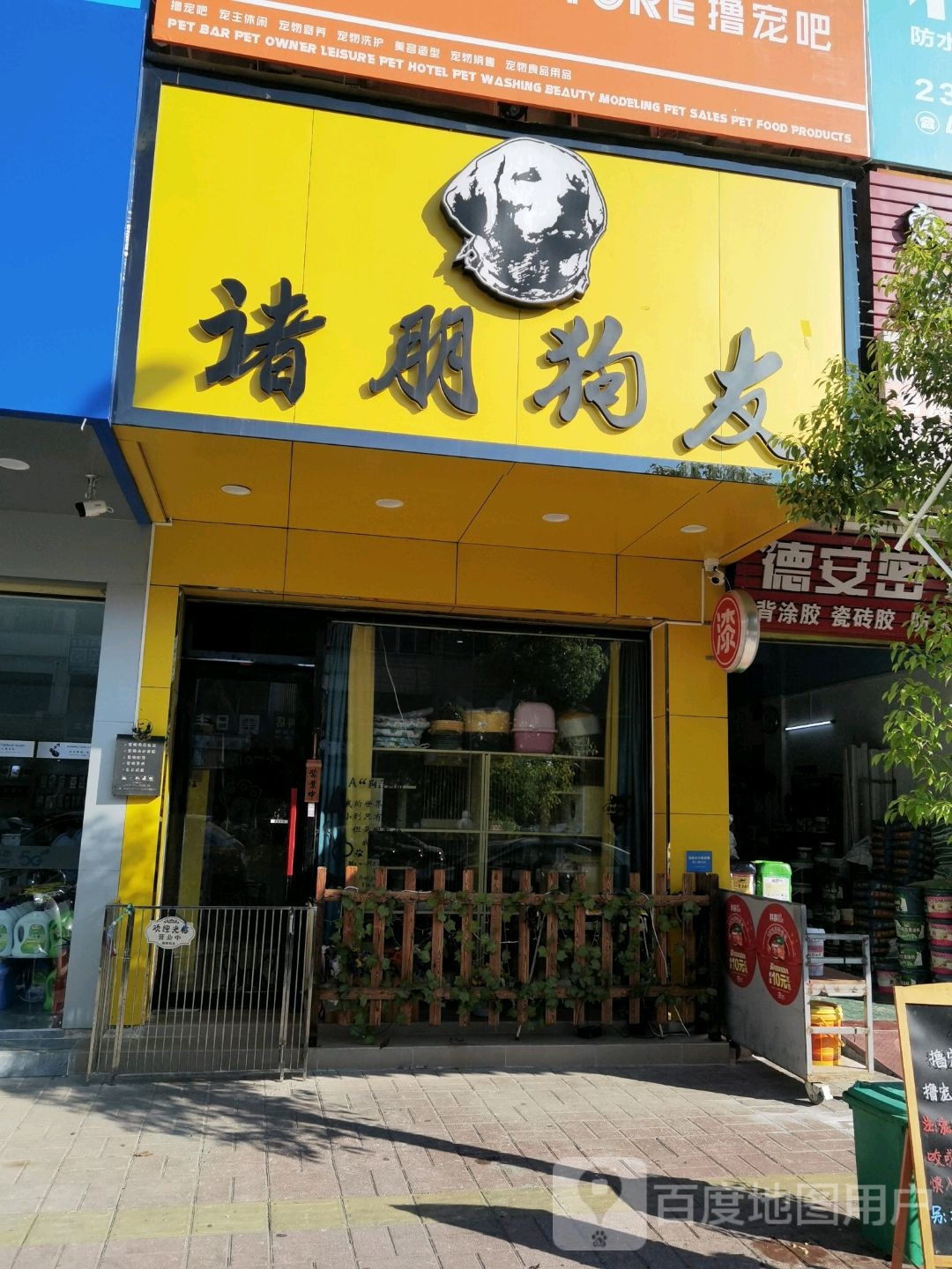 诸朋狗友宠物店-撸宠吧猫咖狗咖兔咖猪咖宠物咖
