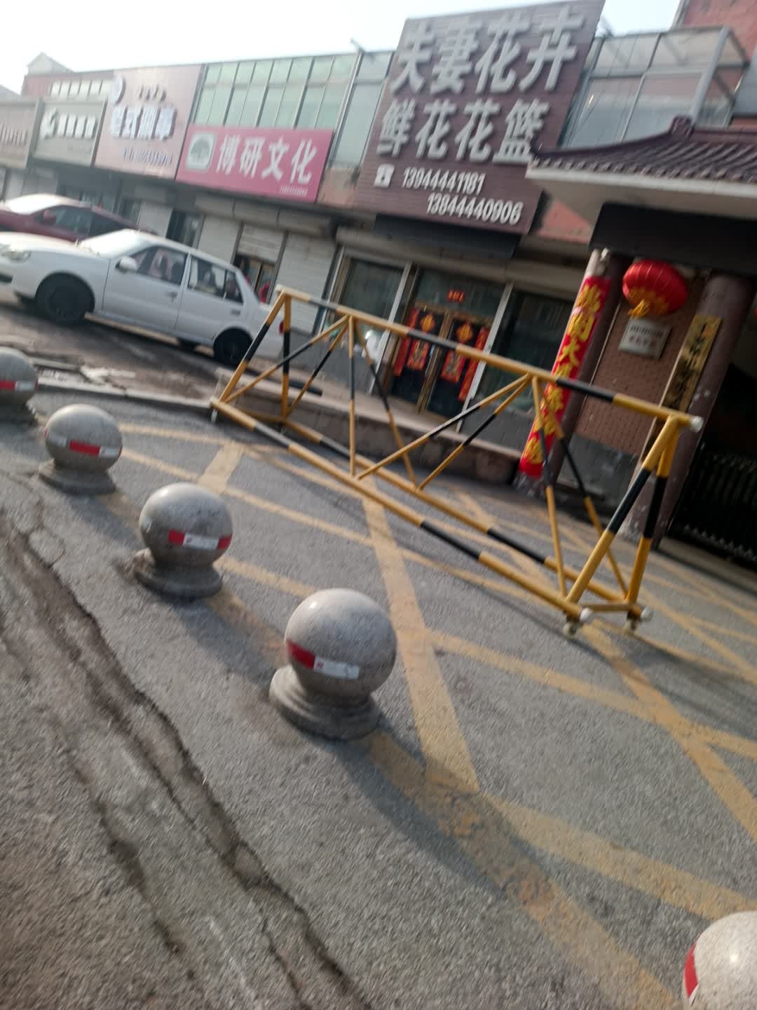 夫妻花卉