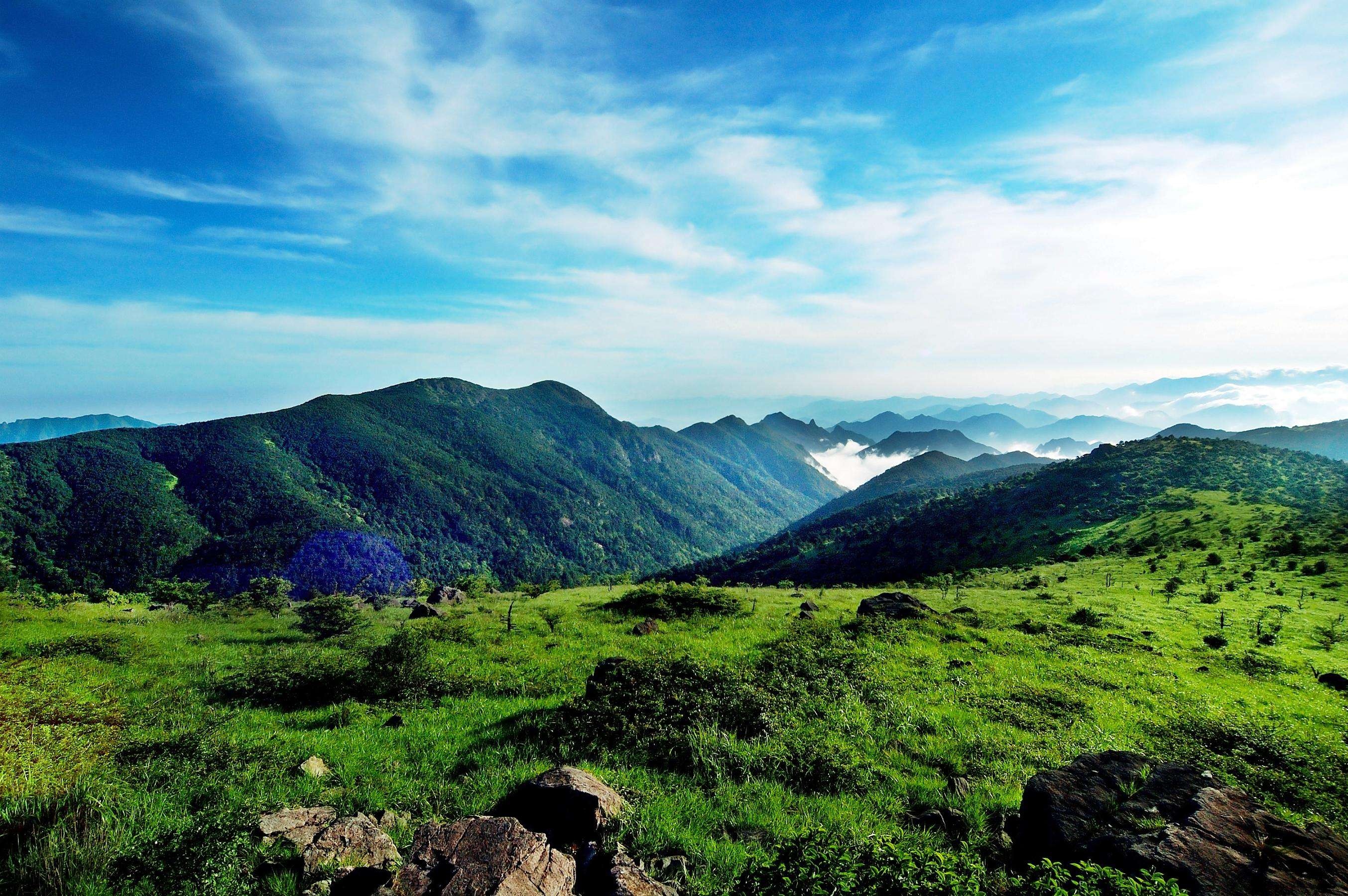 燕子山公园