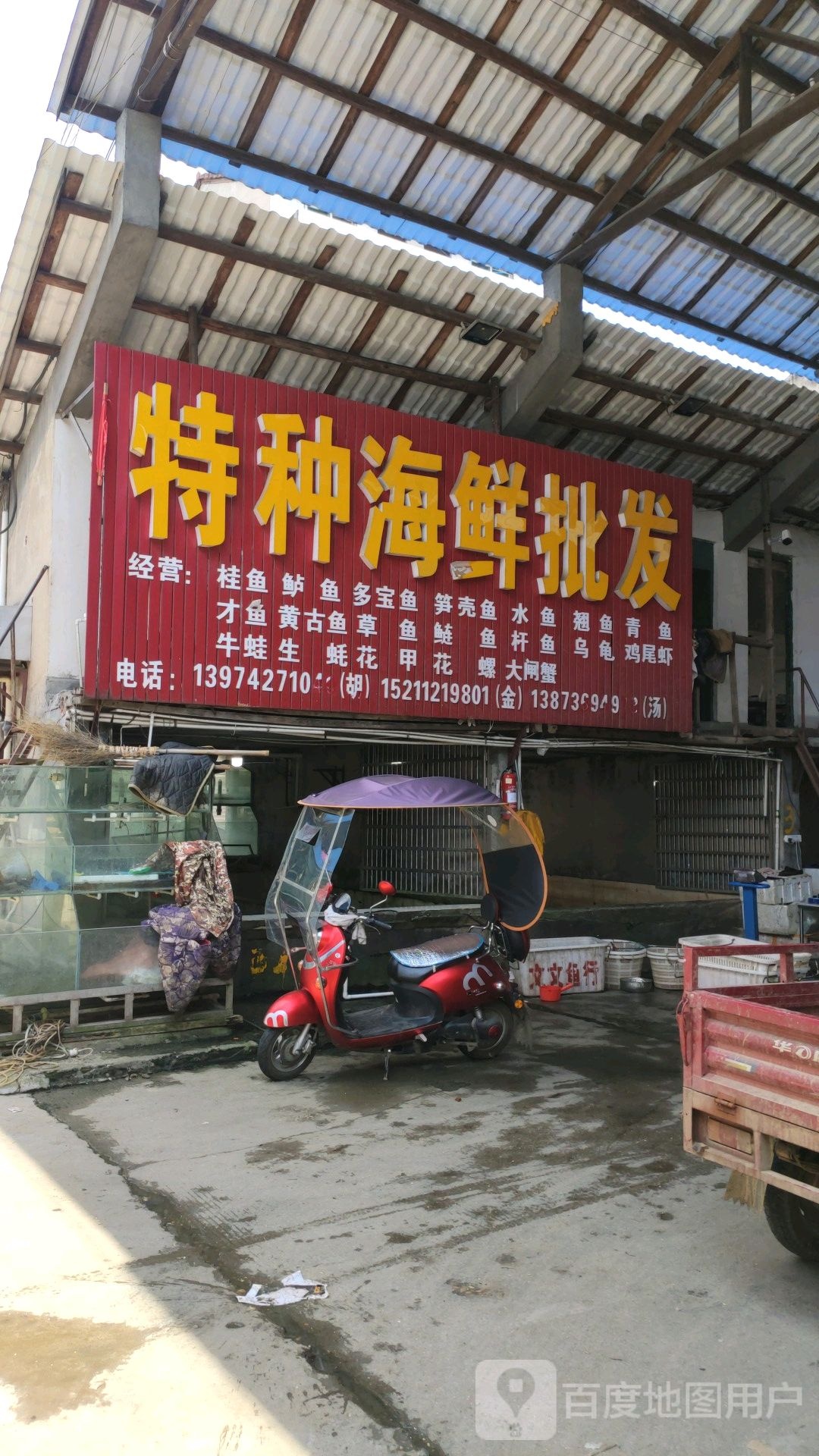 特种海鲜批发