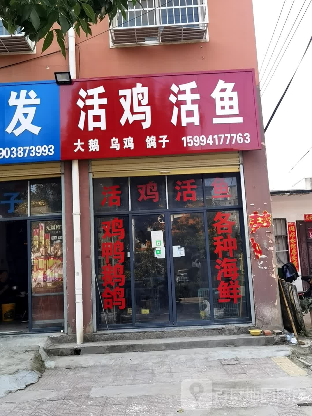 鹿邑县活鸡活鱼(栾台路店)