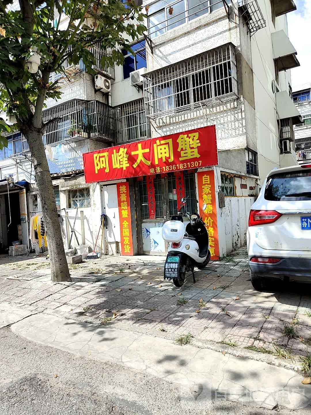 阿峰牦钧大闸蟹