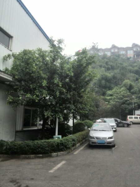 劲扬摩托车磁业公司
