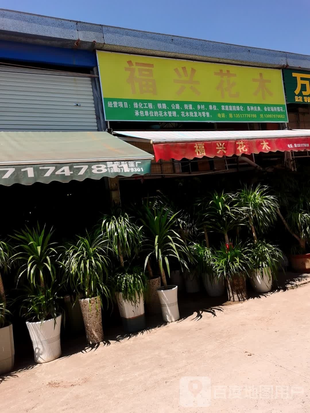 福兴花木