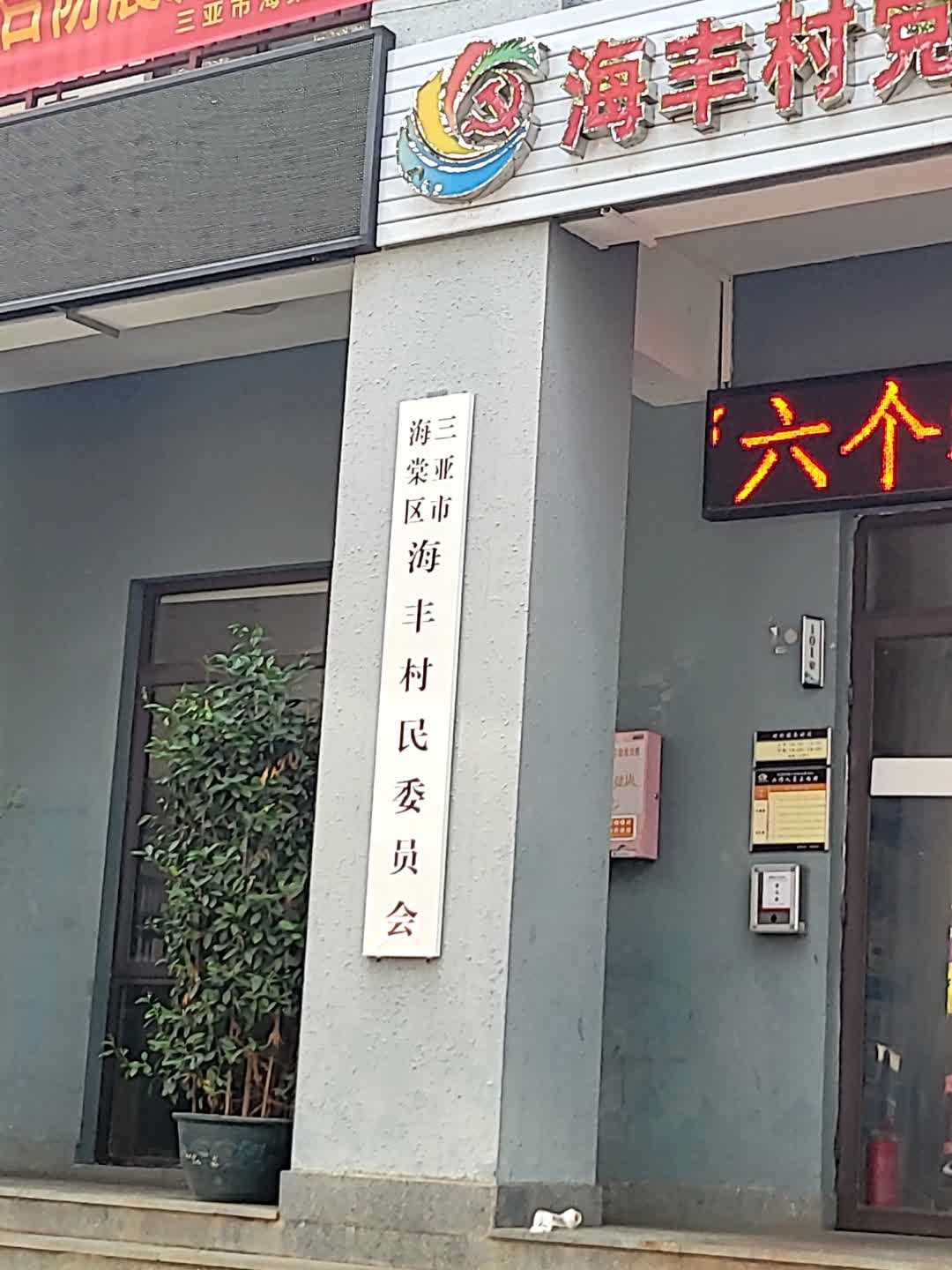 海棠区海丰村村民委员会