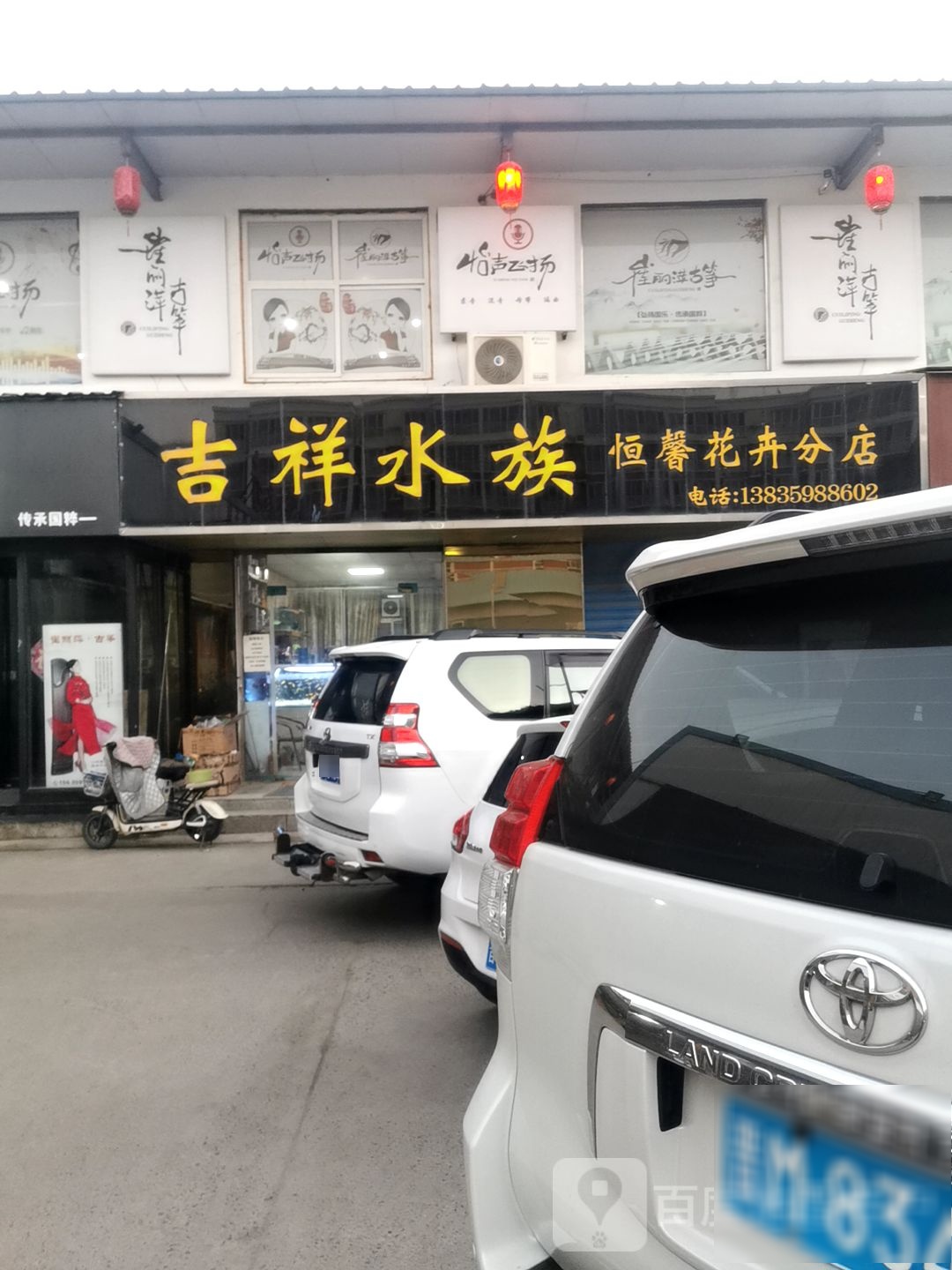 吉祥水族(恒馨花卉分店)