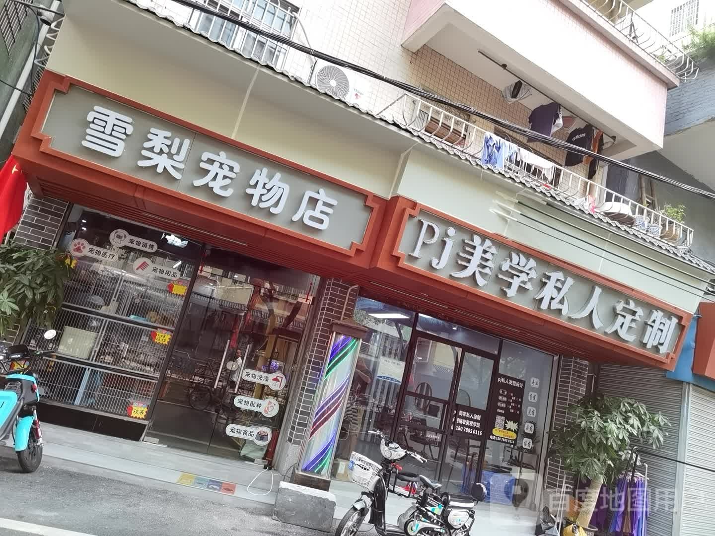 广苏州金沙雪梨宠物店