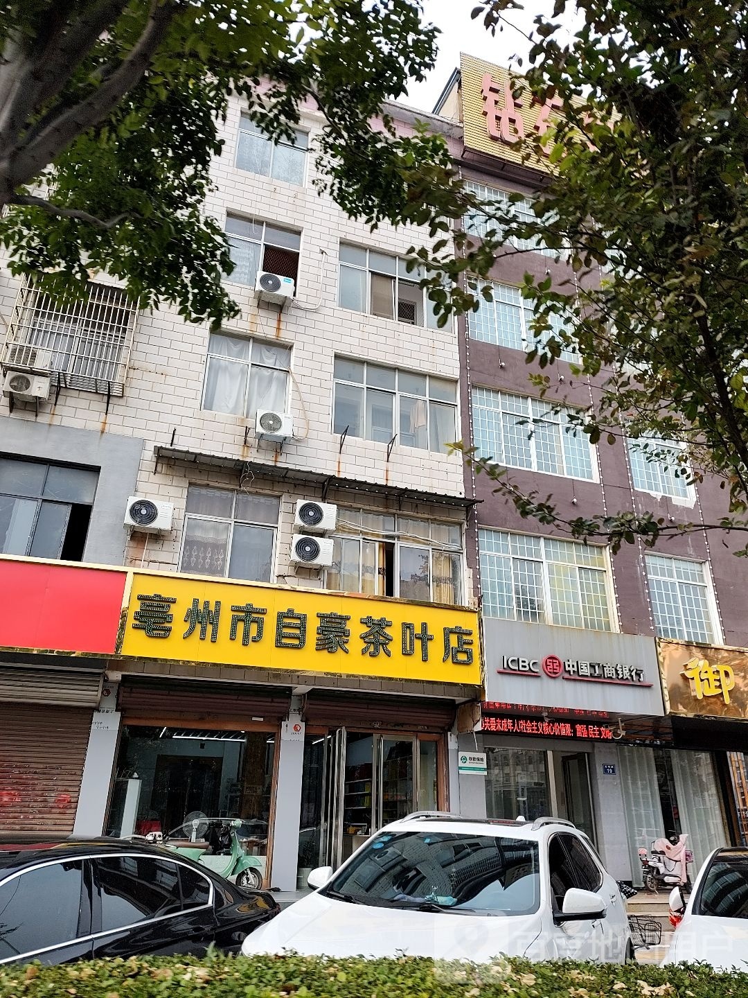 亳州市自豪茶叶店